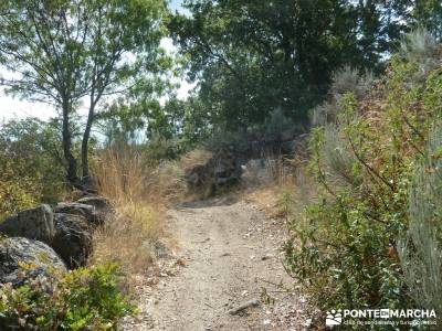 Valle del Alto Alberche;informacion sobre el tejo mochila para trekking